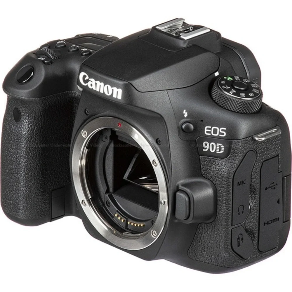 Canon 90D & Canon 70-200 F2.8 lens